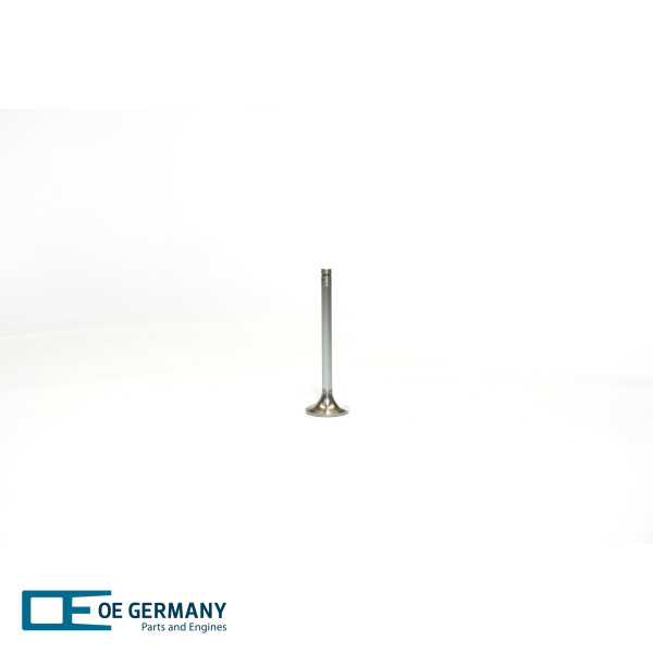 Exhaust Valve - 020520E08301 OE Germany - 51.04101-0589, 227VA31665000, WG1105197